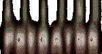Animation1.gif (156315 octets)