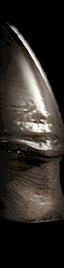 alienhead.gif (36035 octets)