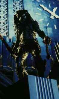 predato2.jpg (24354 octets)
